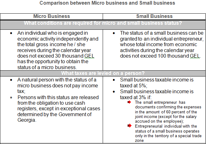 Starting Endividual Entrepreneur in Georgia