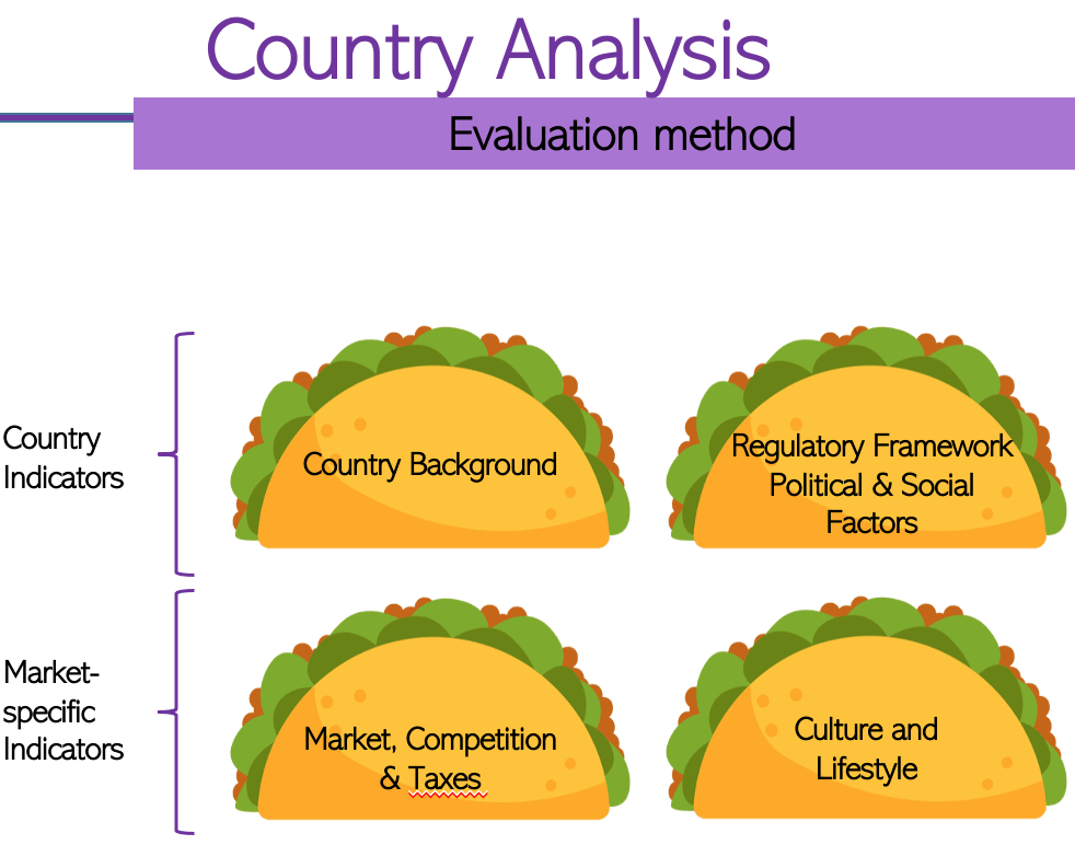 country analysis